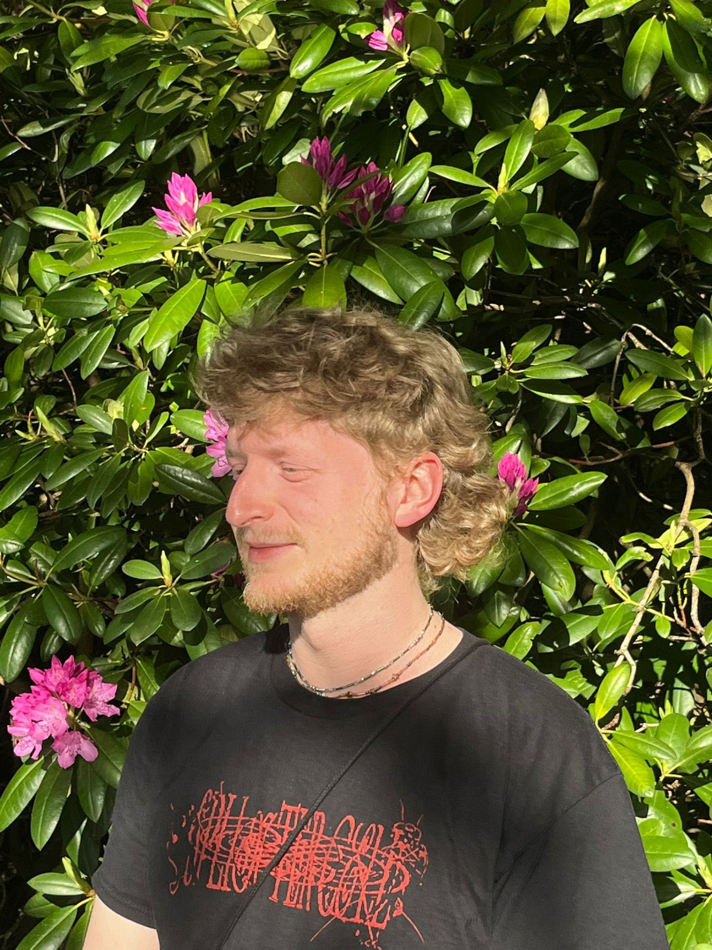 Porträt von Lucid